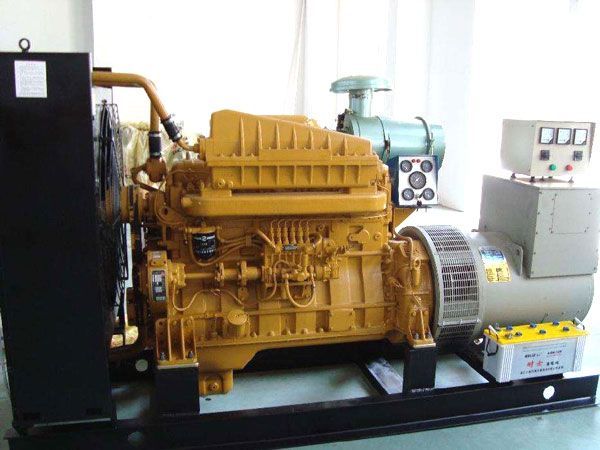 红山街道有哪些有效的方法可以预防柴油发电机组的蓄电池出现硫化现象？